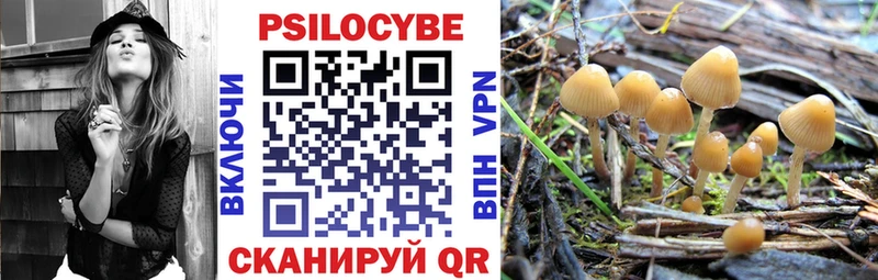Галлюциногенные грибы GOLDEN TEACHER  Ипатово 