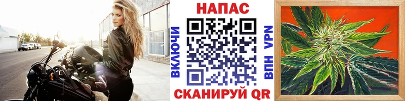Бошки марихуана семена дарк нет формула Ипатово
